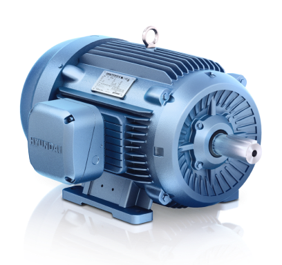Low Voltage Electric Motors
